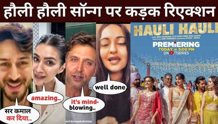 Celebrity Reaction On Hauli Hauli Song