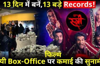 STREE 2 Record Breaking Collection