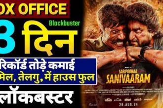 Saripodhaa Sanivaaram Box Office Collection Day 3