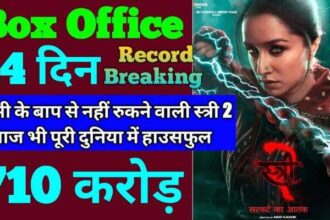 Stree 2 Box Office Collection Day 14