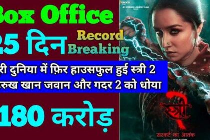 Stree 2 Box Office Collection Day 25