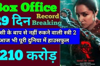 Stree 2 Box Office Collection Day 29