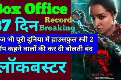 Stree 2 Box Office Collection Day 37