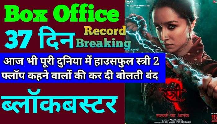 Stree 2 Box Office Collection Day 37