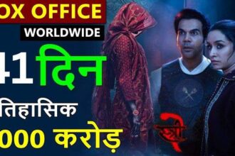 Stree 2 Box Office Collection Day 41