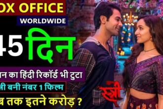 Stree 2 Box Office Collection Day 45