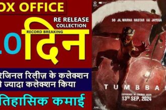 Tumbbad Re-Release Box Office Collection Day 10