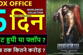 Martin Box Office Collection Day 5