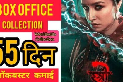 Stree 2 Box Office Collection Day 55