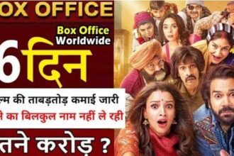 Vicky Vidya Ka Woh Wala Video Box Office Collection Day 6