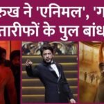 What did Shahrukh Khan say at IIFA in praise of films like Animal, 12th Fail, Gadar 2, Salaar