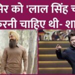 What did Shahrukh Khan say on Aamir Khan, Allu Arjun's Laal Singh Chaddha and Pushpa 2