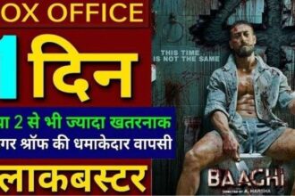 Baaghi 4 Movie Budget and Release Date