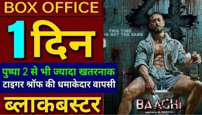 Baaghi 4 Movie Budget and Release Date