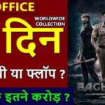 Bagheera Box Office Collection Day 13