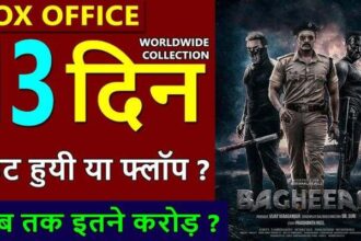 Bagheera Box Office Collection Day 13