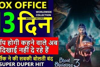 Bhool Bhulaiyaa 3 Box Office Collection Day 13