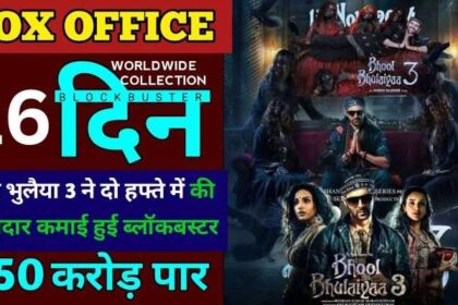 Bhool Bhulaiyaa 3 Box Office Collection Day 16