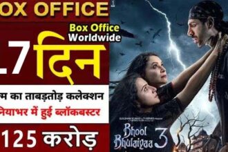 Bhool Bhulaiyaa 3 Box Office Collection Day 17