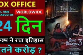 Bhool Bhulaiyaa 3 Box Office Collection Day 24