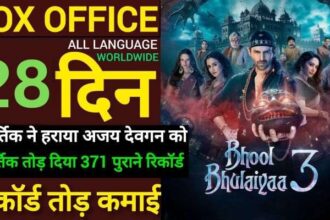 Bhool Bhulaiyaa 3 Box Office Collection Day 28