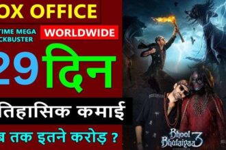 Bhool Bhulaiyaa 3 Box Office Collection Day 29