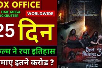 Bhool Bhulaiyaa 3 Box Office Collection Day 25