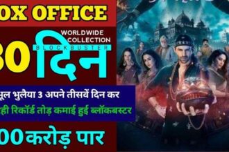 Bhool Bhulaiyaa 3 Box Office Collection Day 30