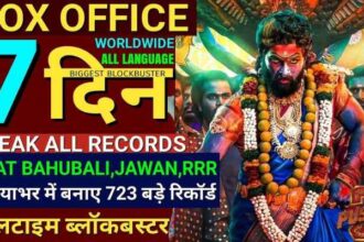 Pushpa 2 box office collection day 7